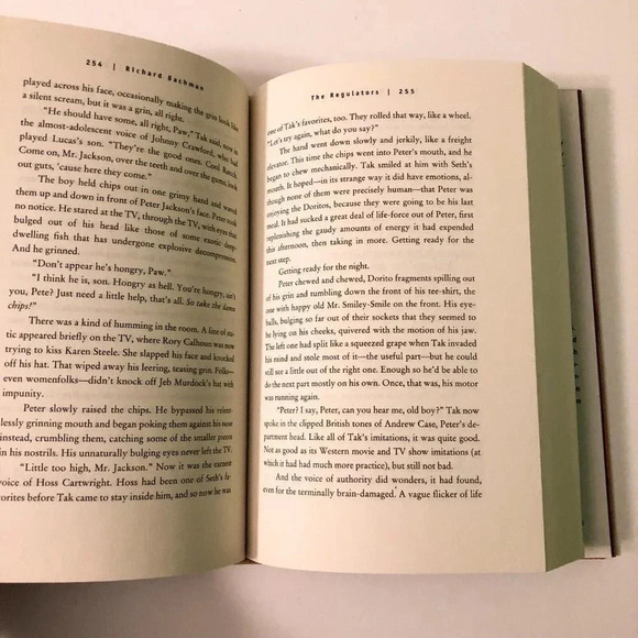 Vintage 1996 The  Regulators by Richard Backman Hardcover - Picture 15 of 16